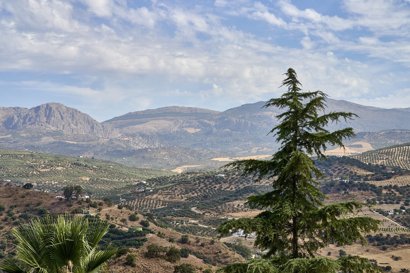 VILLA CAMI__DSC2157_PS_from_pink_4000px copy